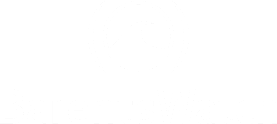 Barents Watch logo